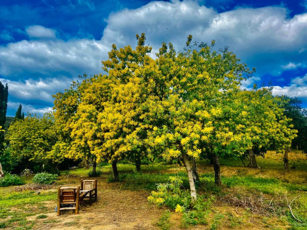 Masia Mimosa Darnius Экстерьер фото